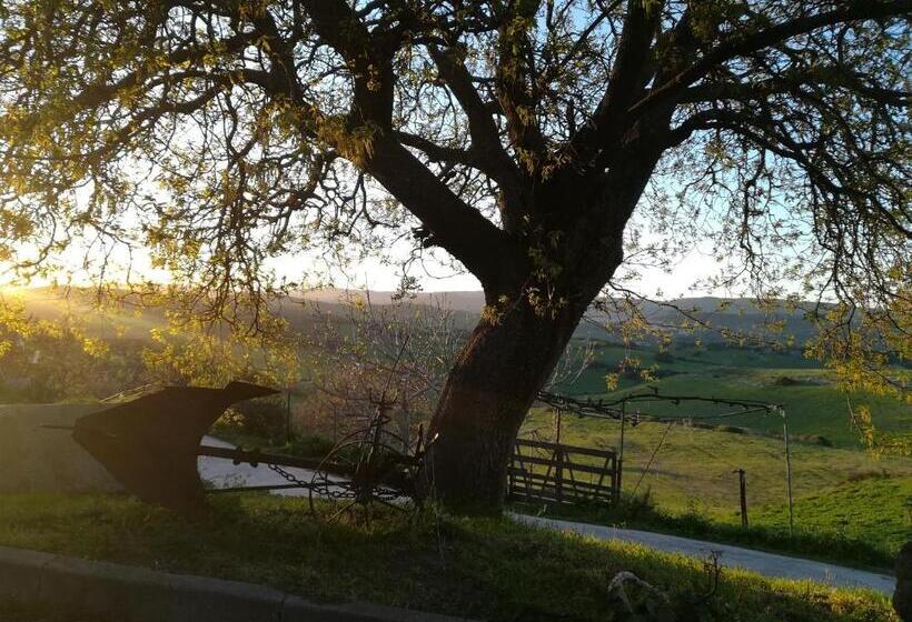 Bed And Breakfast Sas Damas