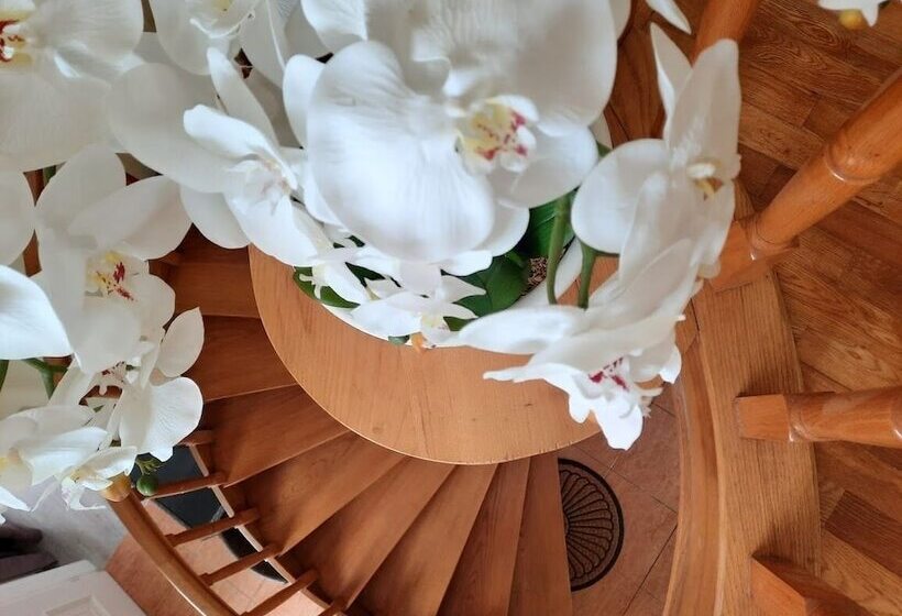 Bed and Breakfast Smiling Places Guest House In Labruge