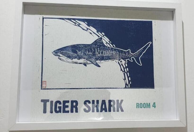 민박 The Lazy Shark