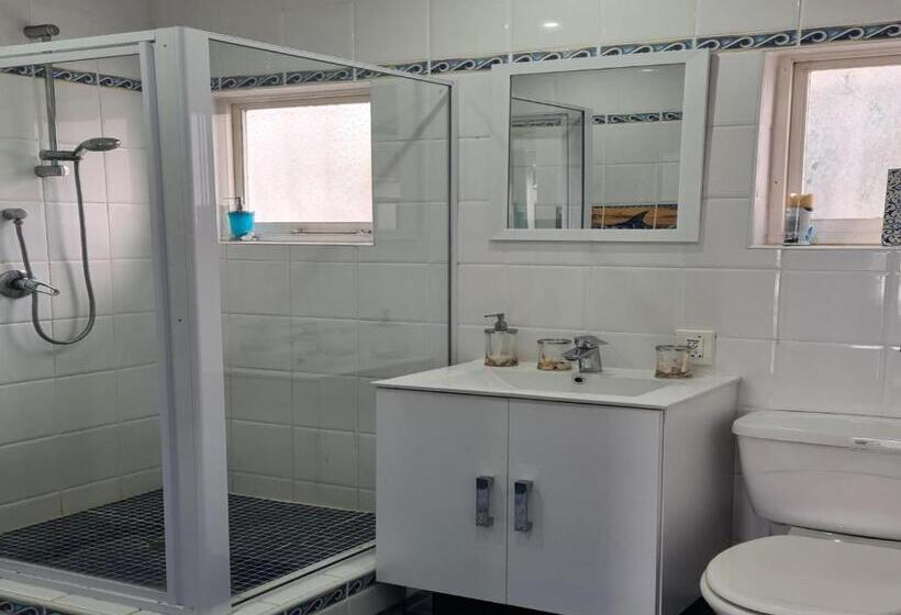 민박 The Lazy Shark