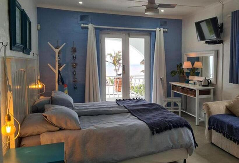 민박 The Lazy Shark