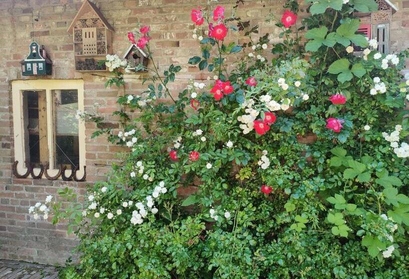 צימר Thuis Bij Elles