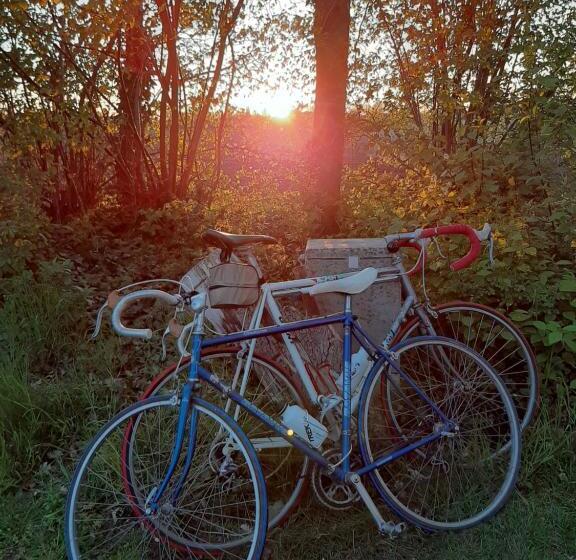 ベッドアンドブレックファースト Thuis Bij Elles