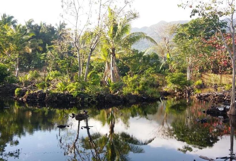 تختخواب و صبحانه Villa Catalina Bora 2 Resort