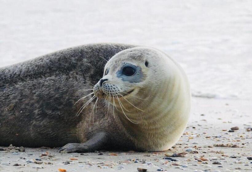 צימר Vrijstaand Koetshuis Marron