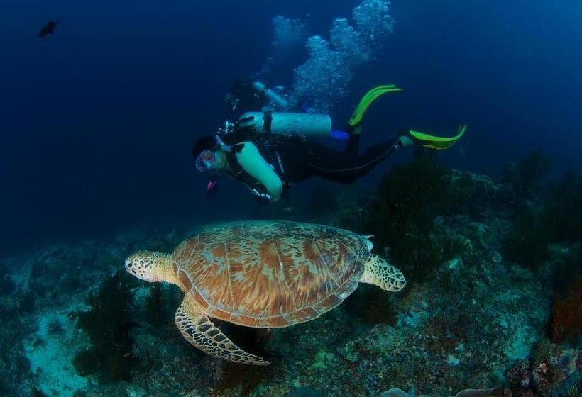 Borneo Divers Mabul Resort
