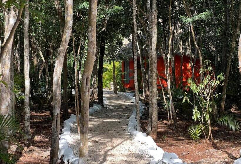 호텔 Cenote Secreto Maya