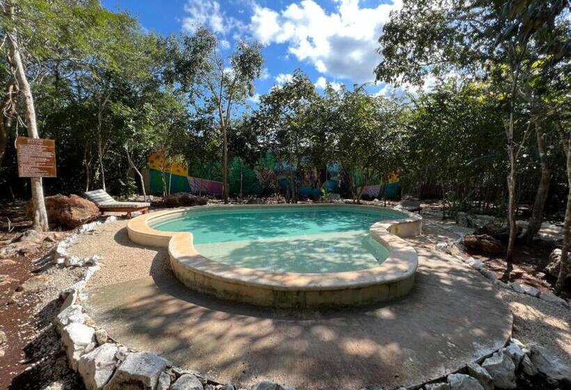 호텔 Cenote Secreto Maya