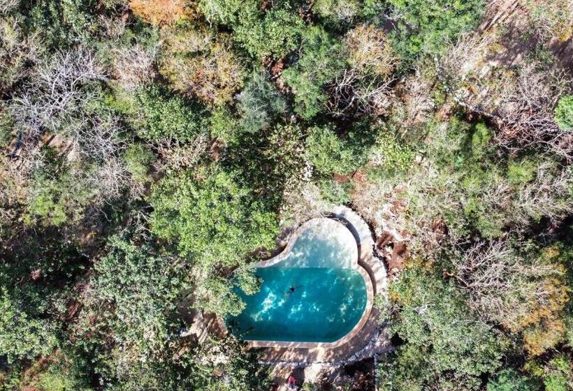 호텔 Cenote Secreto Maya