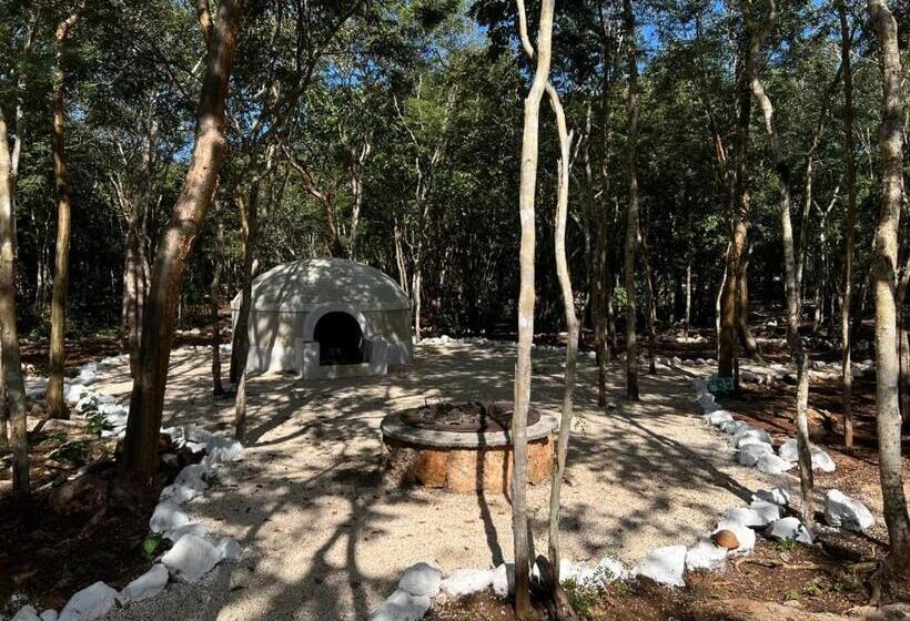 호텔 Cenote Secreto Maya