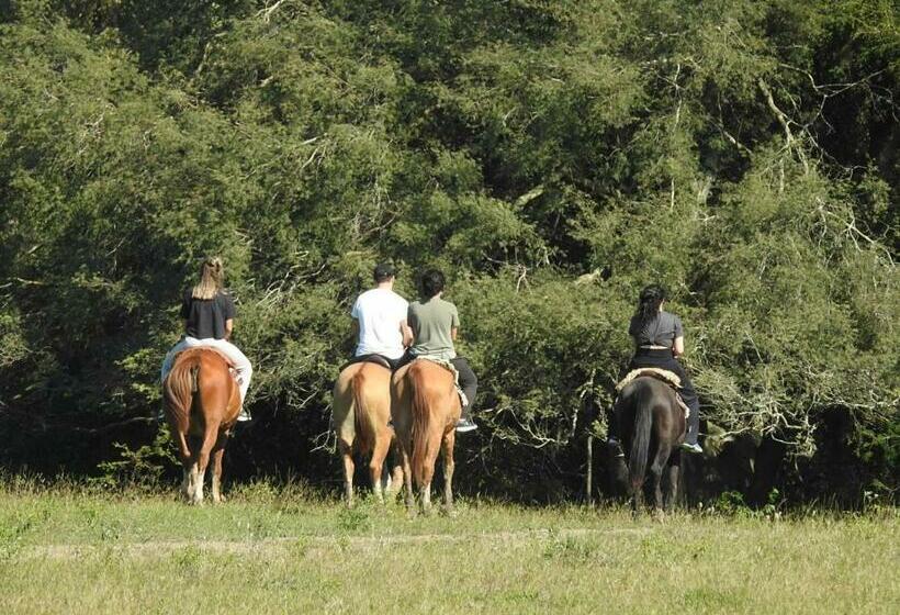 Отель El Descanso