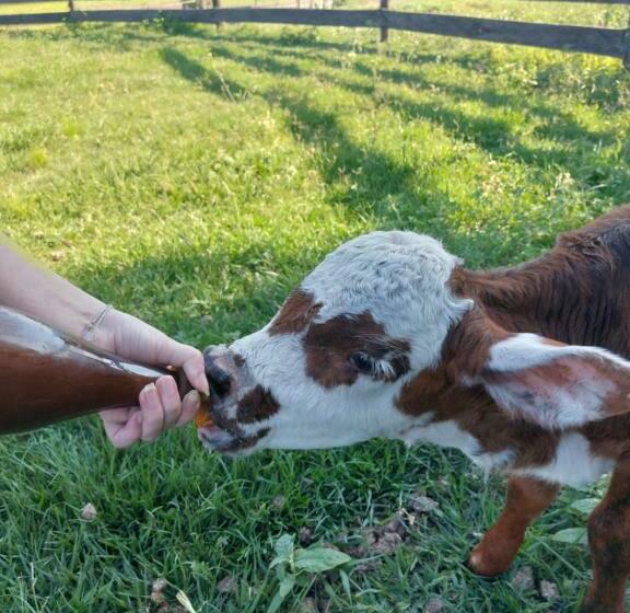 Отель El Descanso