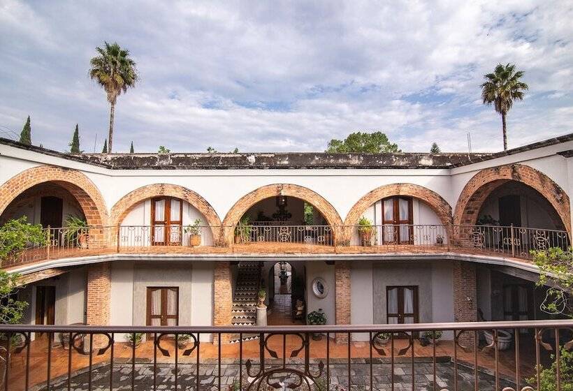 酒店 Finca San Javier