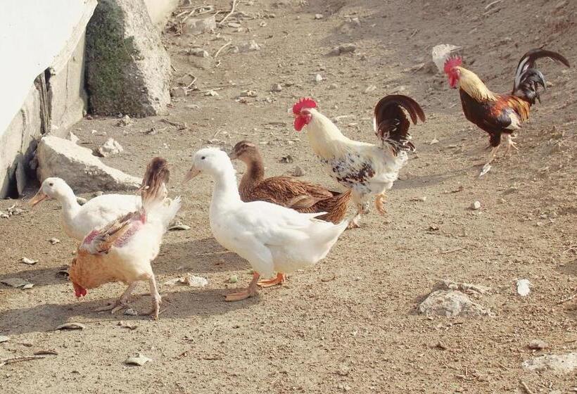 호텔 Il Casale Toscoemiliano