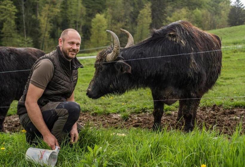 هتل Mahorko Wein Wellness Wasserbüffel