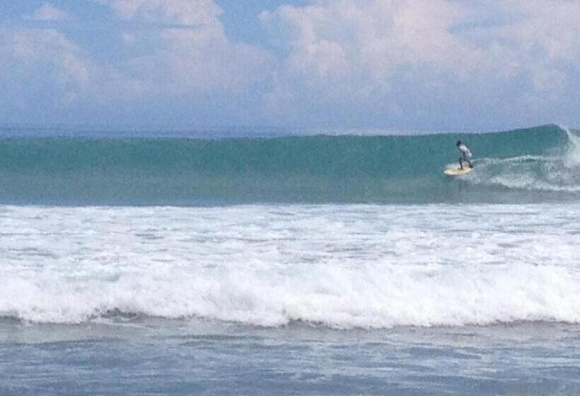 هتل Masokut Surf Camp Siberut Mentawai Surfing Barrels