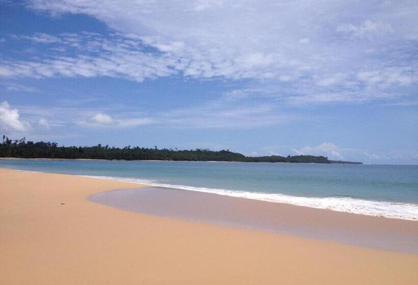 هتل Masokut Surf Camp Siberut Mentawai Surfing Barrels