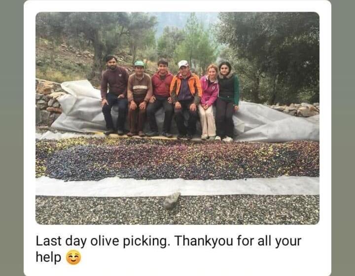 בית מלון כפרי Palace Gokbel