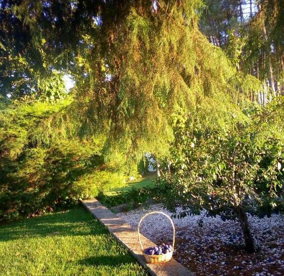 فندق Pinheirinhos   Quinta De São Caetano