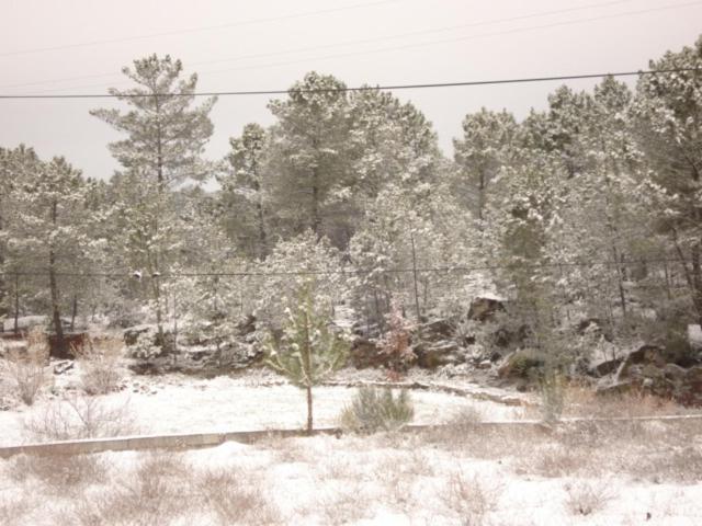 فندق Pinheirinhos   Quinta De São Caetano