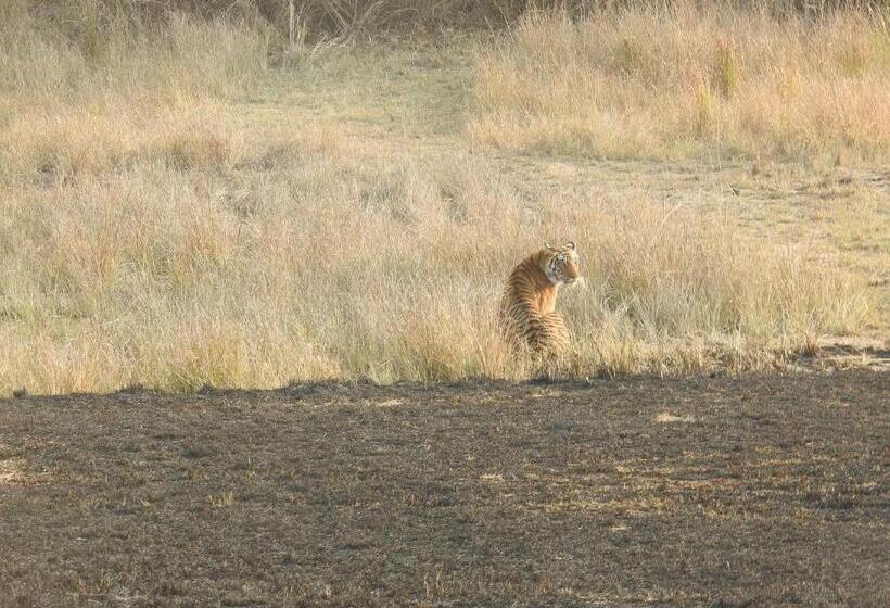 בית מלון כפרי Saccharum Safari Lodge
