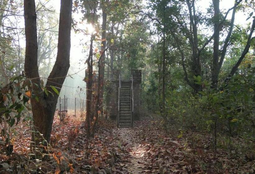 בית מלון כפרי Saccharum Safari Lodge