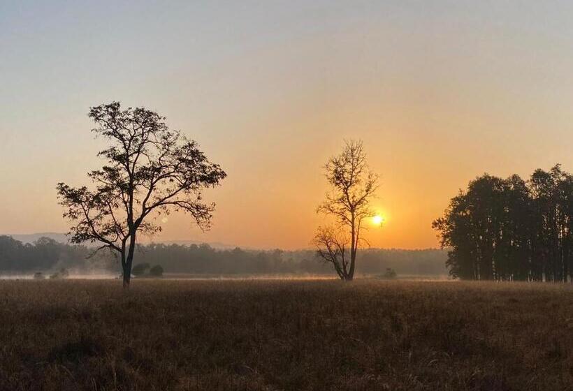 בית מלון כפרי Saccharum Safari Lodge