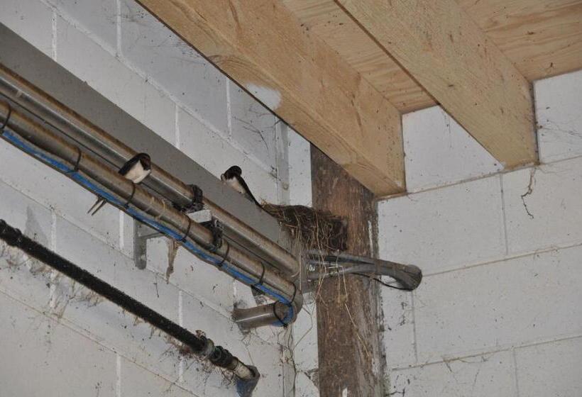 فندق Sitting At The Bay