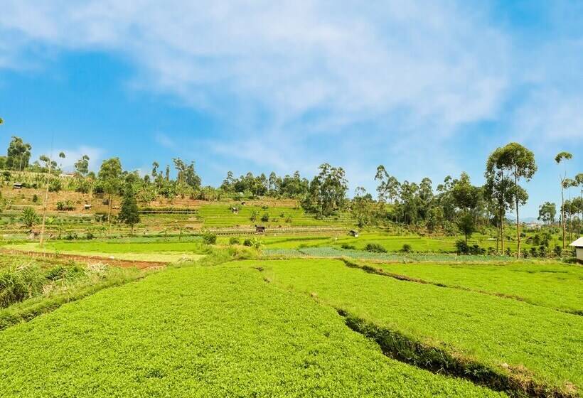 호텔 Spot On 90992 Eco Tourism Desa Panundaan Ciwidey