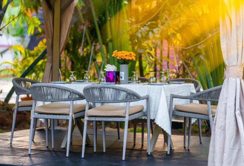 호텔 Treat Beach Resort