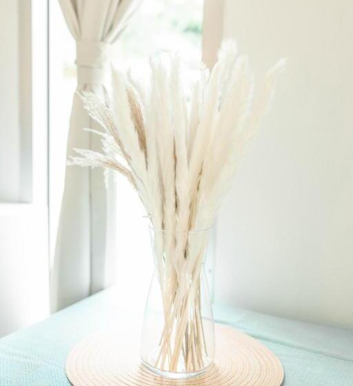 My Home Resort Koh Phangan Vacation House Rentals