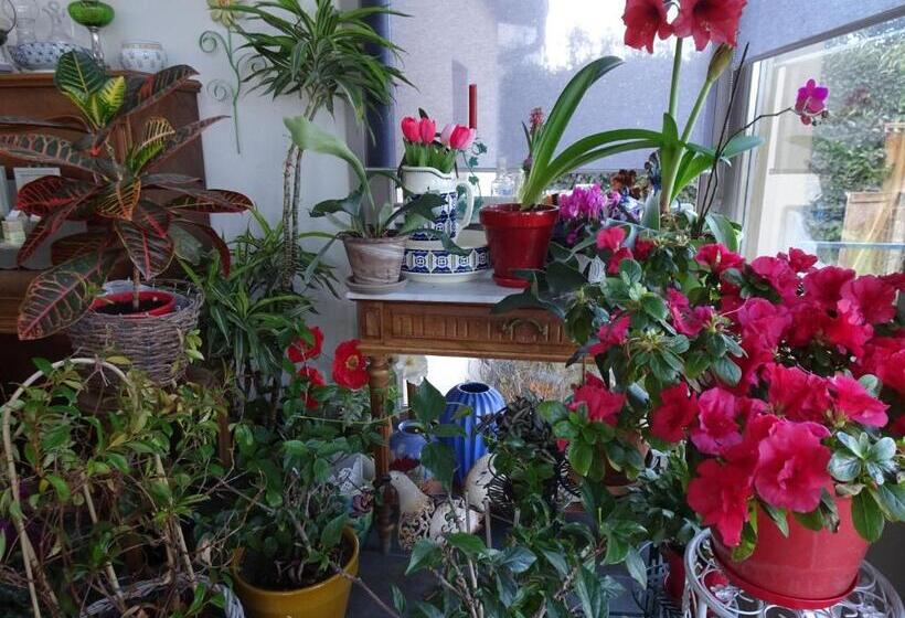 פנסיון B&b La Maison Des Collines Autour Chambres D Hôtes