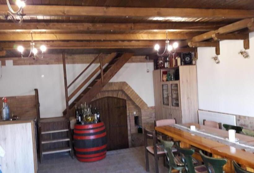 펜션 Berger Pince és Vendégház