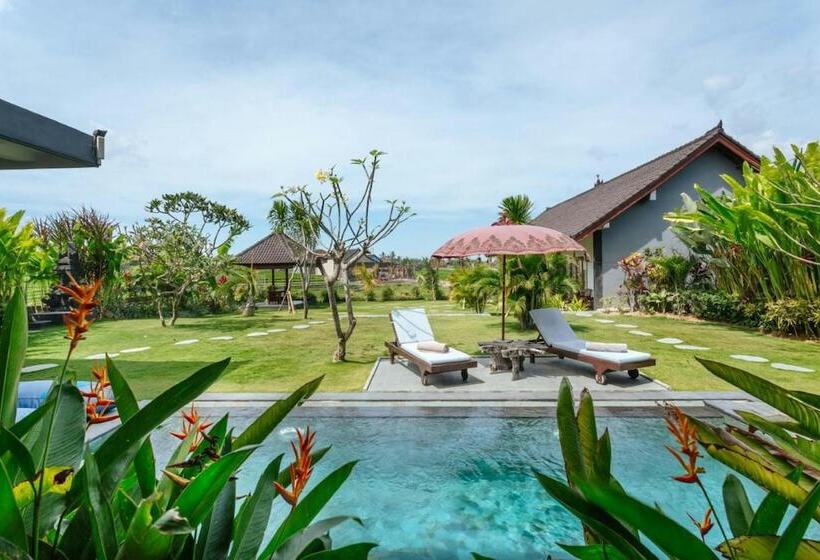 פנסיון Carik Bali Guest House Canggu