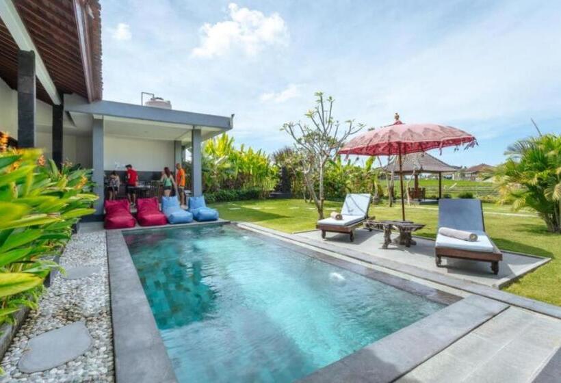 פנסיון Carik Bali Guest House Canggu