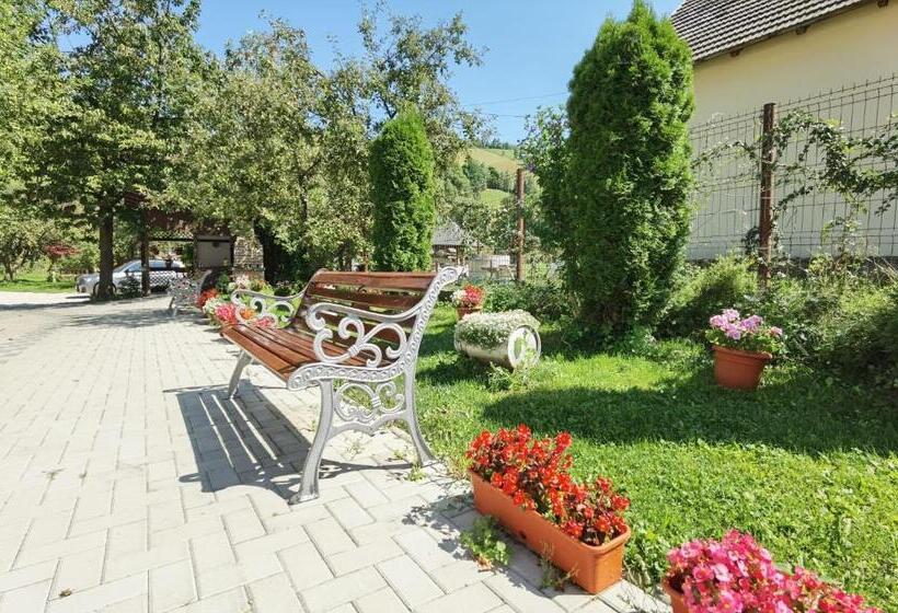 Пансион Casa Girbacea