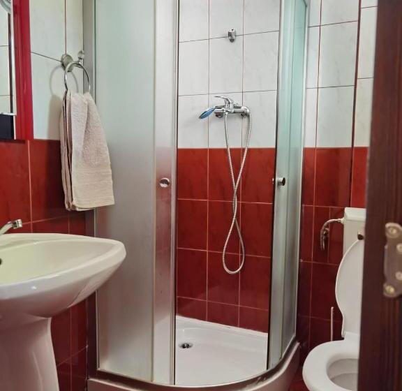 膳宿费 Casa Girbacea