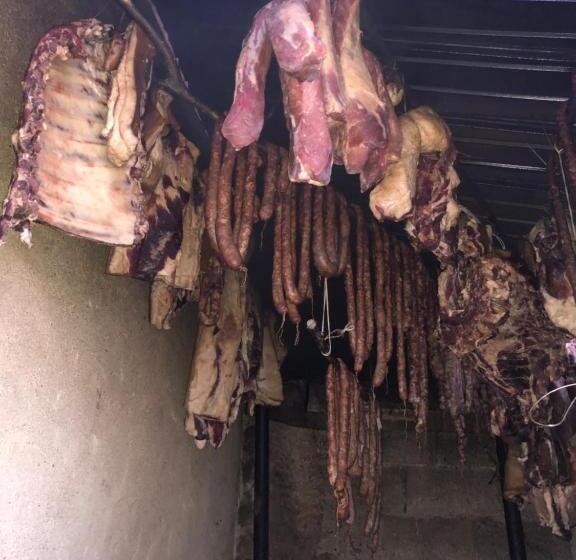 ペンション Casuta Bunicilor Isverna