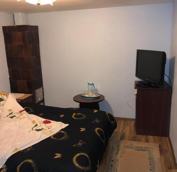 ペンション Casuta Bunicilor Isverna