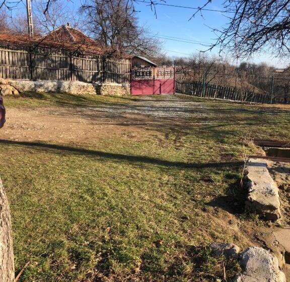 ペンション Casuta Bunicilor Isverna