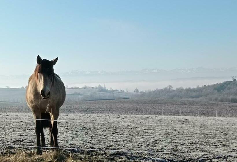 膳宿费 Domaine De Buffevent