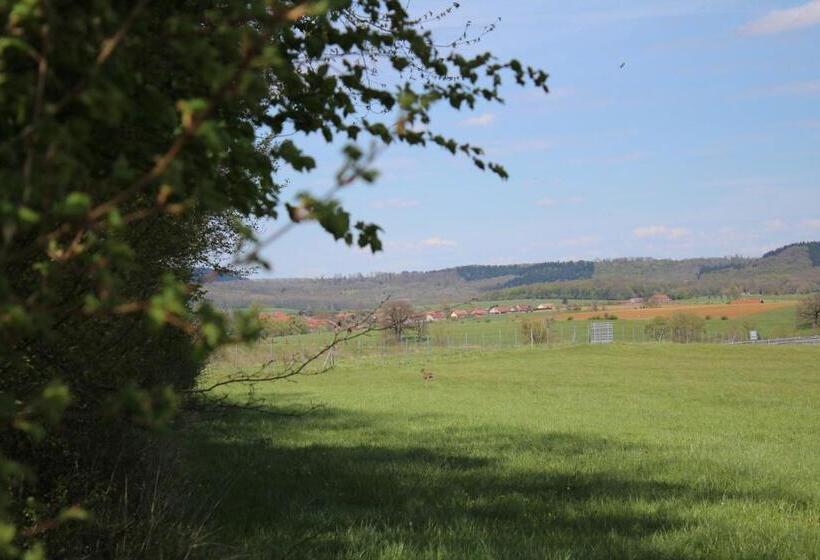 פנסיון Ferme Des Champs