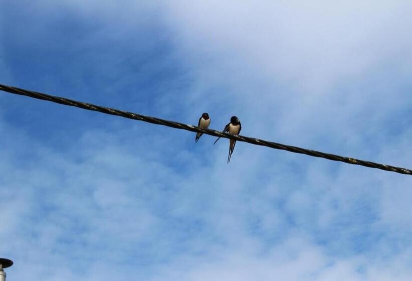 פנסיון Ferme Des Champs