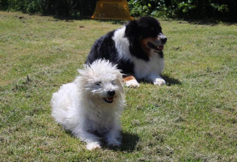 פנסיון Ferme Des Champs