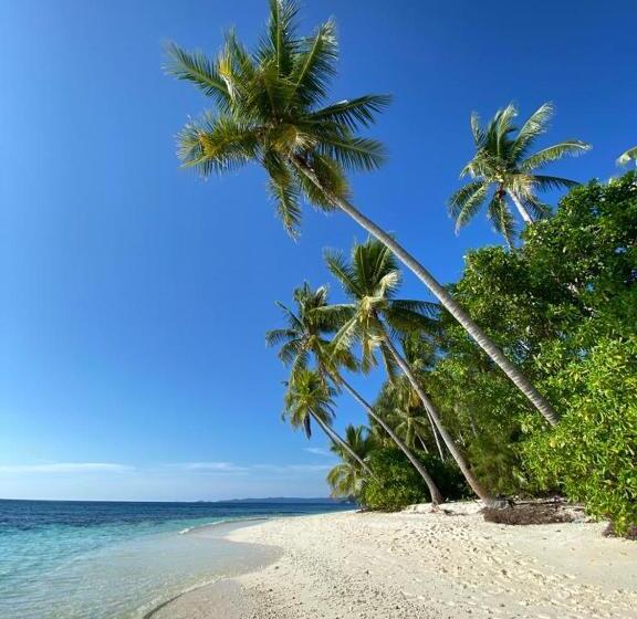 بنسيون Gibran Guest House