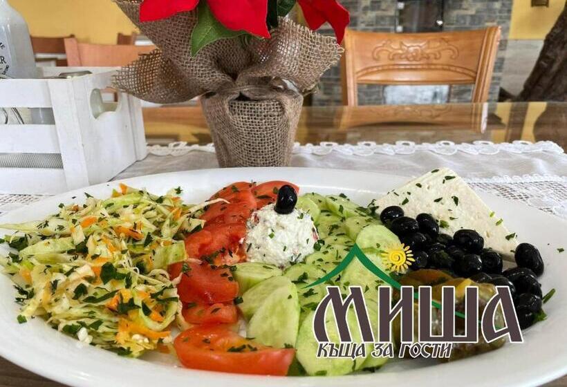 פנסיון Guest House Misha