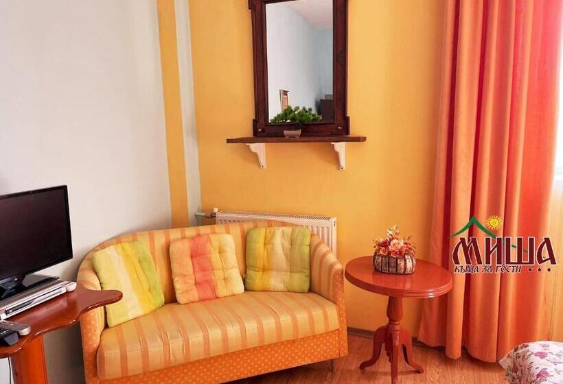 פנסיון Guest House Misha