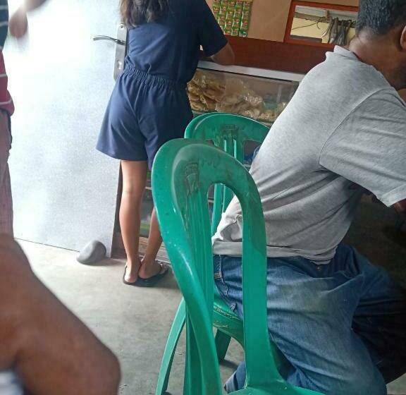 ペンション Irlyandoz Lodge