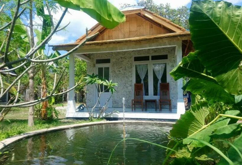 ペンション Irlyandoz Lodge