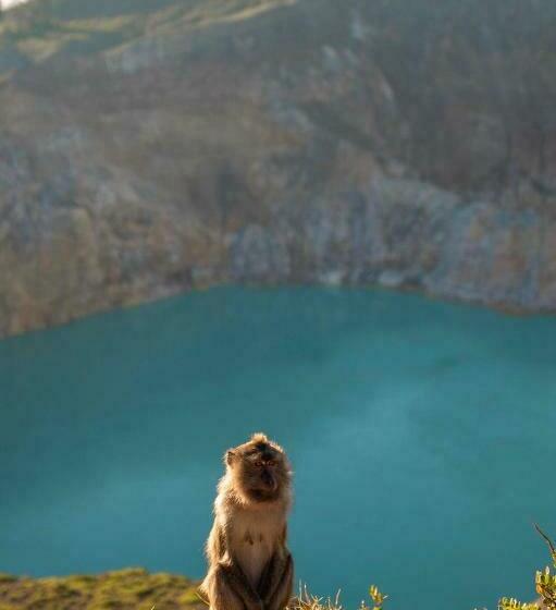 膳宿费 Joseph Guest House